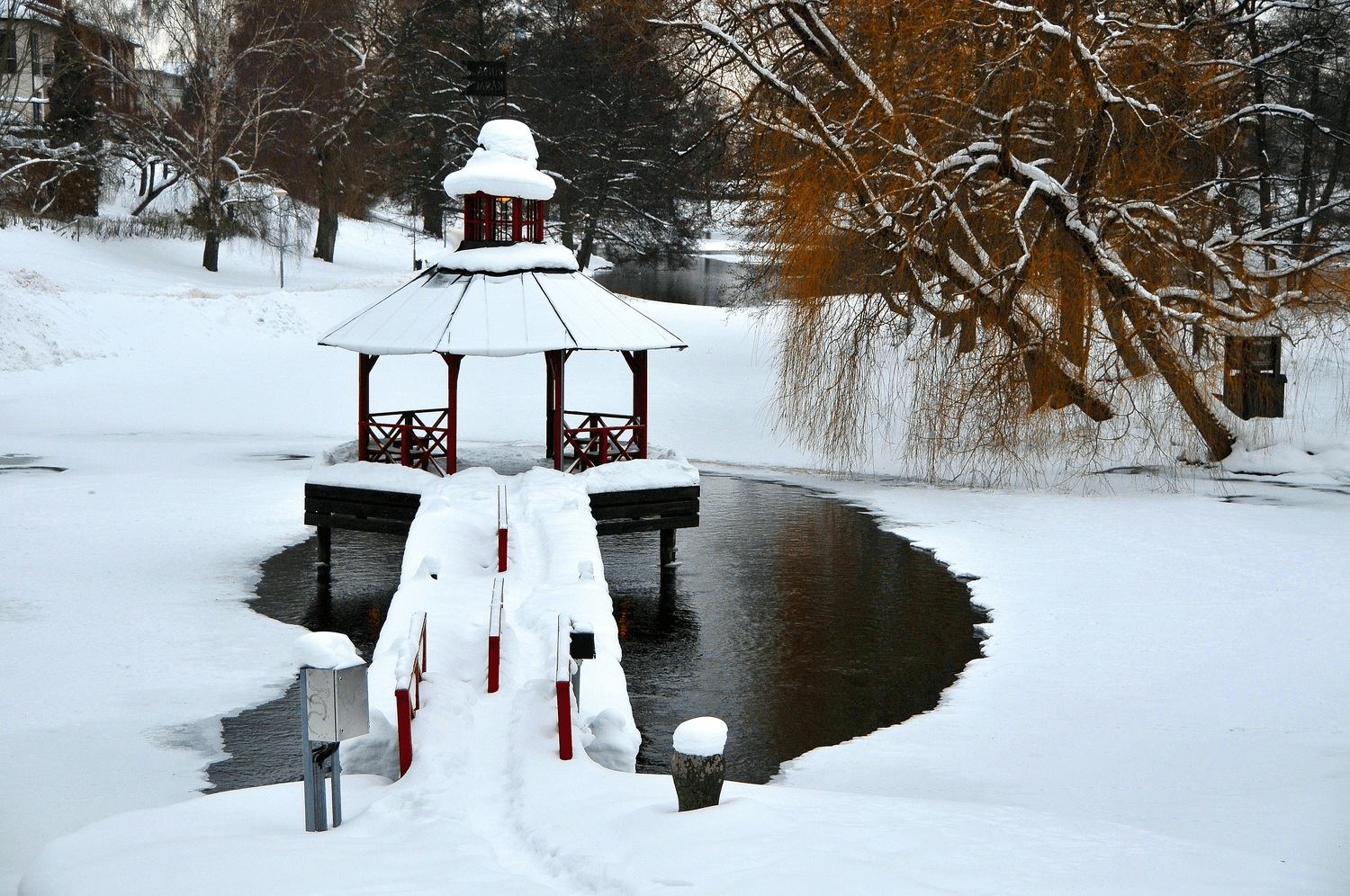 瘦西湖冬日游：雪景、夜色与鸟语的完美邂逅