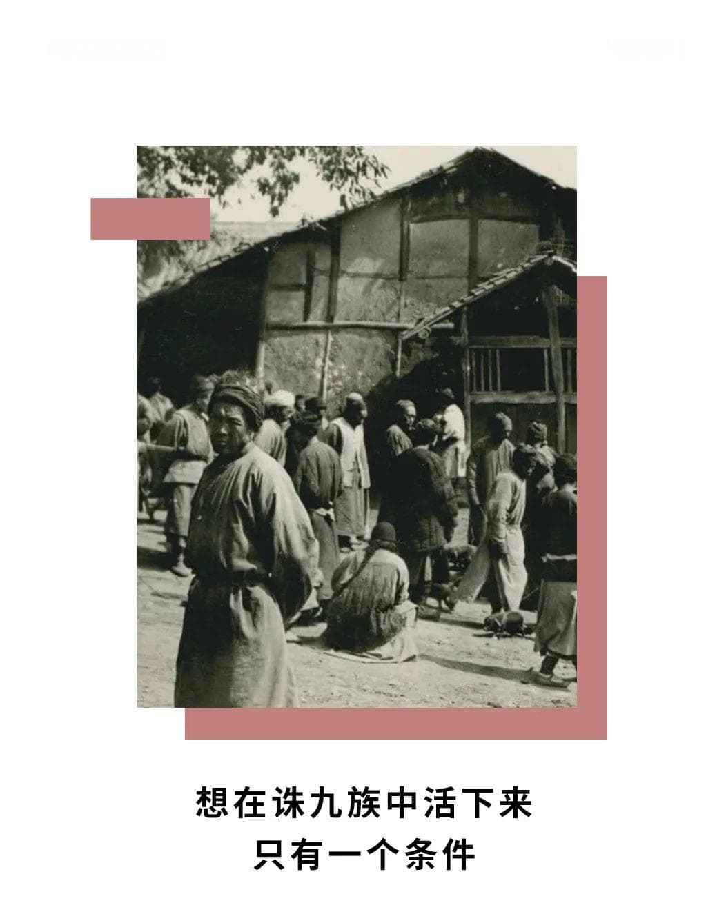 想在诛九族中活下来，只有一个条件