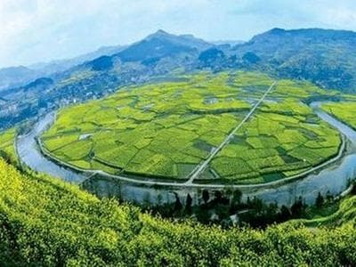 土地的分类方式有哪些？这些分类方式的依据是什么？