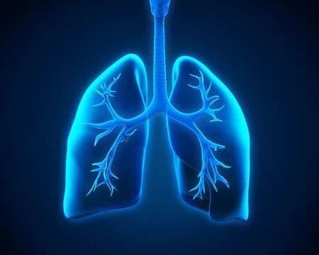 2024年上半年，16款抗癌新药获批！治疗这些癌症
