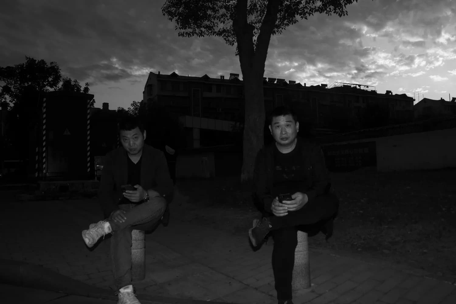 《白日梦我》抄袭风波：从读者质疑到版权困境