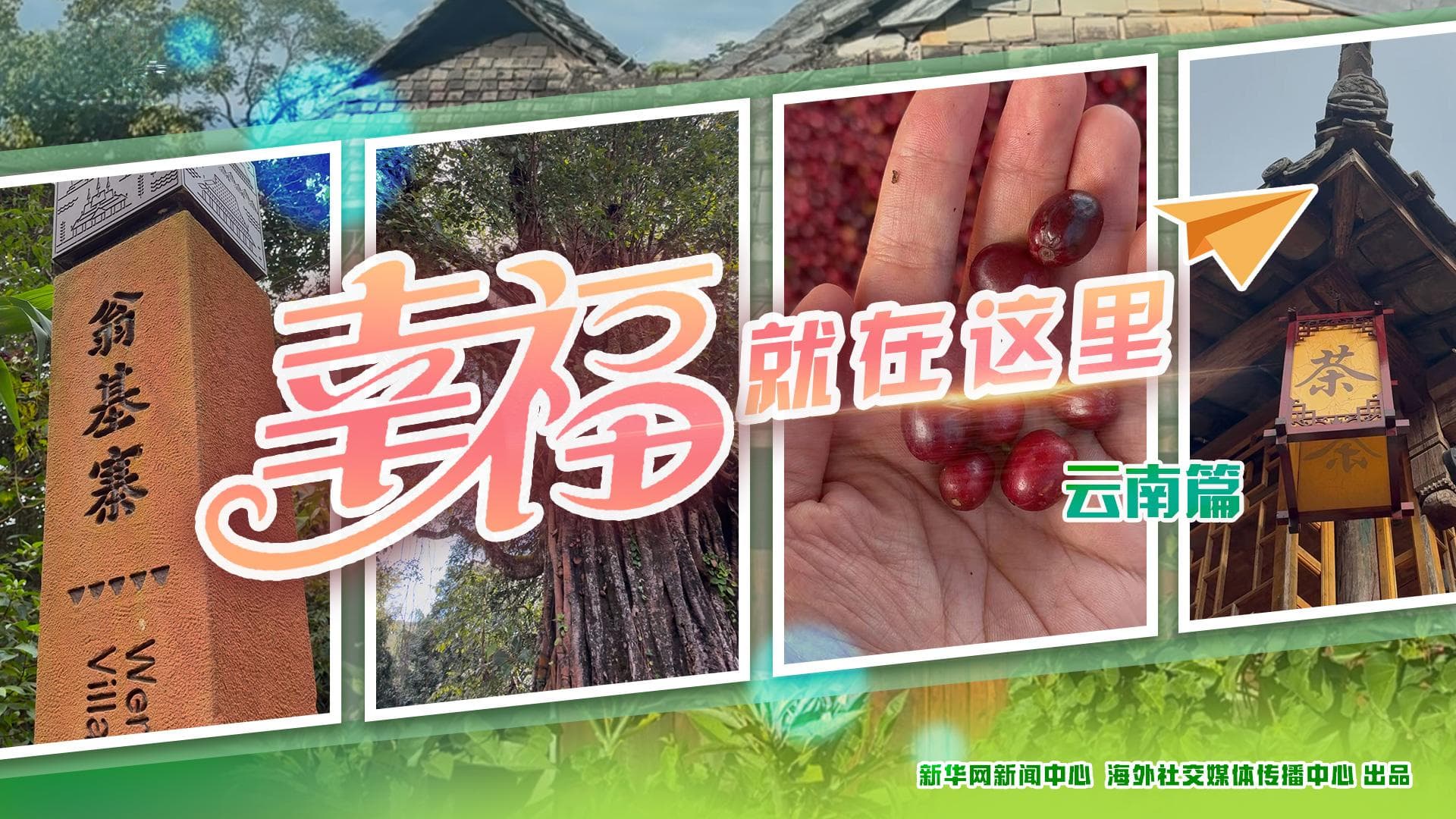 年迎80万游客，普洱那柯里村的茶马古道文化振兴之路