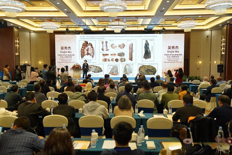 华龙洞遗址发现30万年前古人类化石，呈现东亚智人演化图景