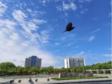 深度学习之图像分割（基础知识速成篇）
