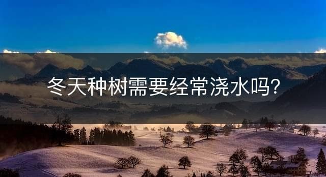 冬天种树需要经常浇水吗？