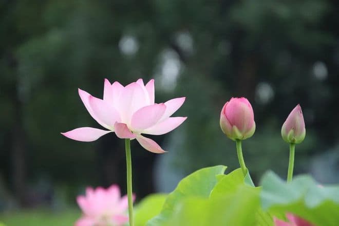 五千年来最美的10首古诗词，读过方知情深！