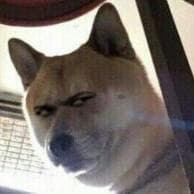 啊？她们都是真的？——几部值得一读的轻小说推荐