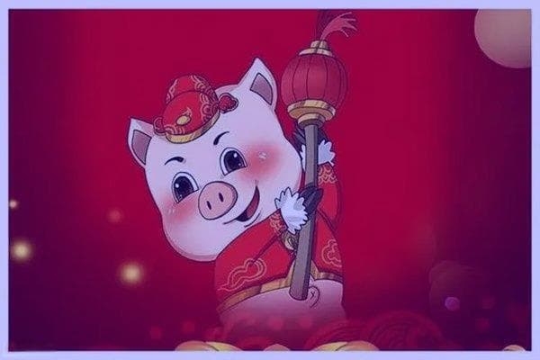 己亥年是指哪一年？属猪人的性格特点与运势解析