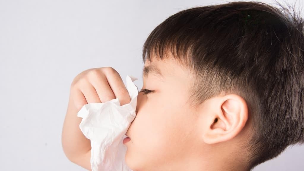 年節最怕「過敏性鼻炎」來敲門！專家曝2招預防 濕度控制在「這個」數字