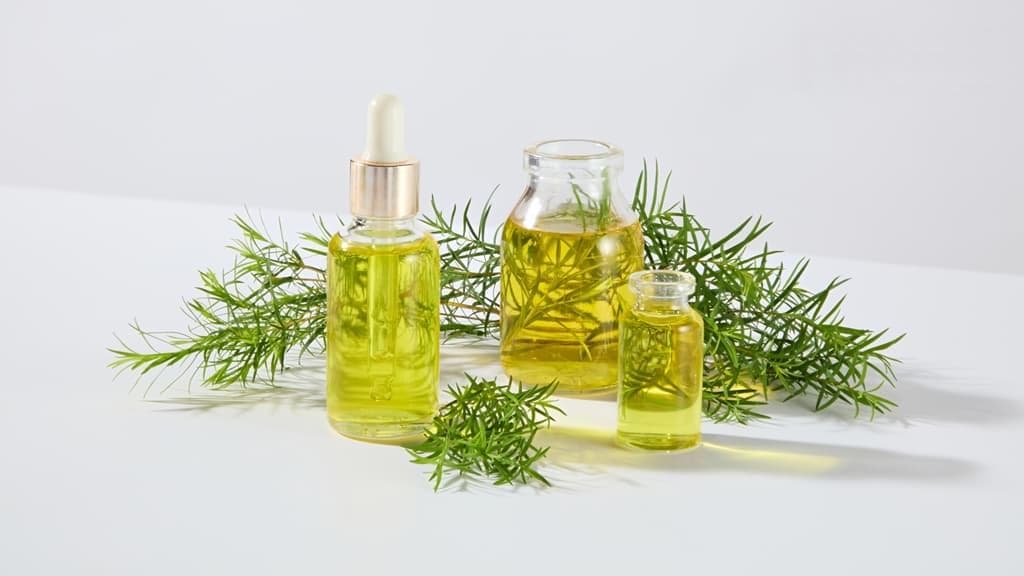 茶树精油的功效与使用方法：抗菌、抗流感病毒、改善痘痘和口臭