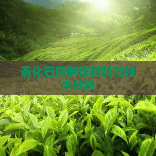 茶化石的制作材料与技术分析
