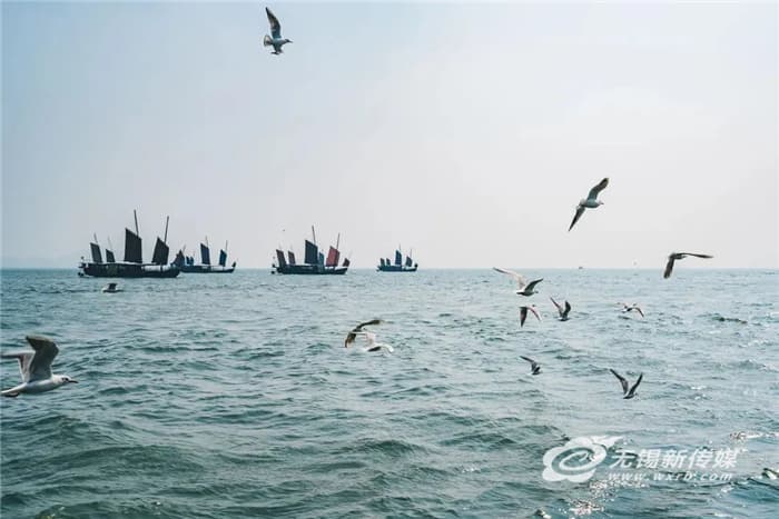 江苏无锡：十年“重塑山河”，铺展新时代更美“太湖画卷”