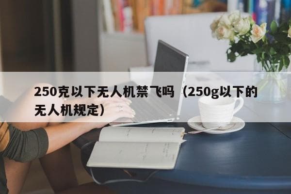 明年起实施无人机新规：250克以上需实名登记