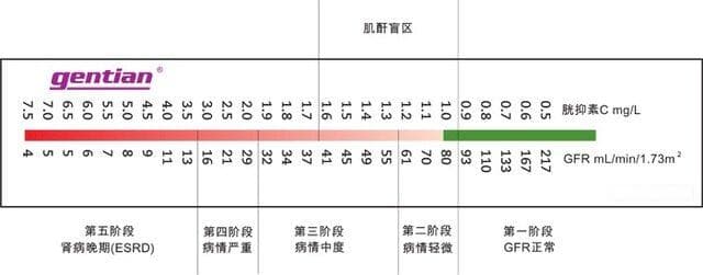 肾功能实验室检查：「高富帅」胱抑素C的那点事