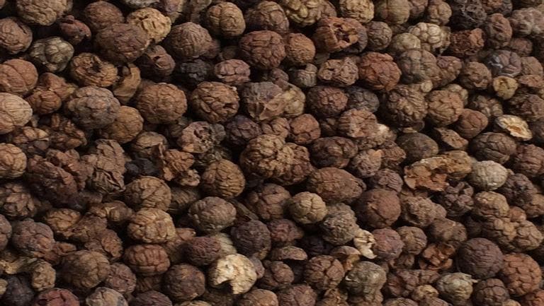 豆蔻的功效与作用、禁忌和食用方法