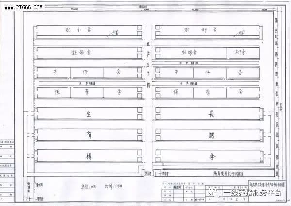 执业兽医师的建议：猪场设计这样做，未来省心又高效！