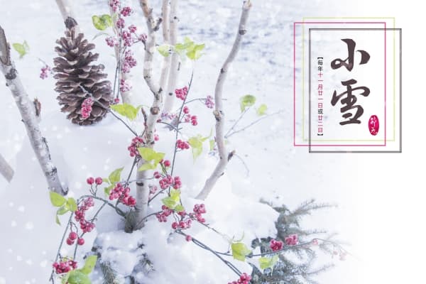 小雪·养生｜做好后背和足部保暖 运动要等日出后 保持心胸畅达