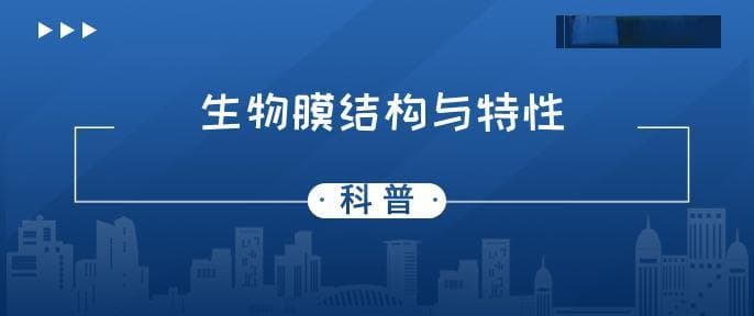 生物膜的结构特点 生物膜是什么