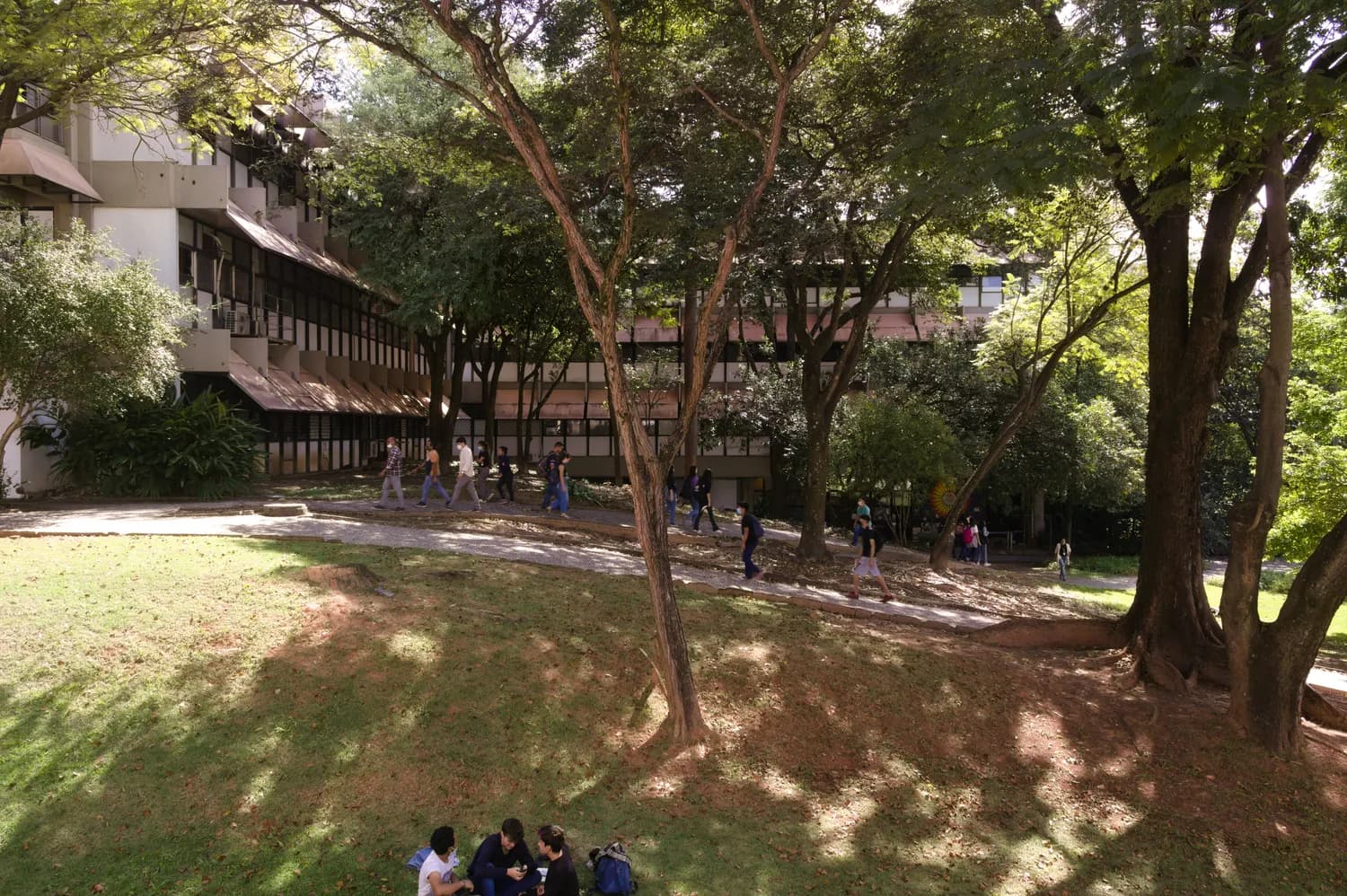 香港国际教育枢纽建设：特色优势与经济贡献