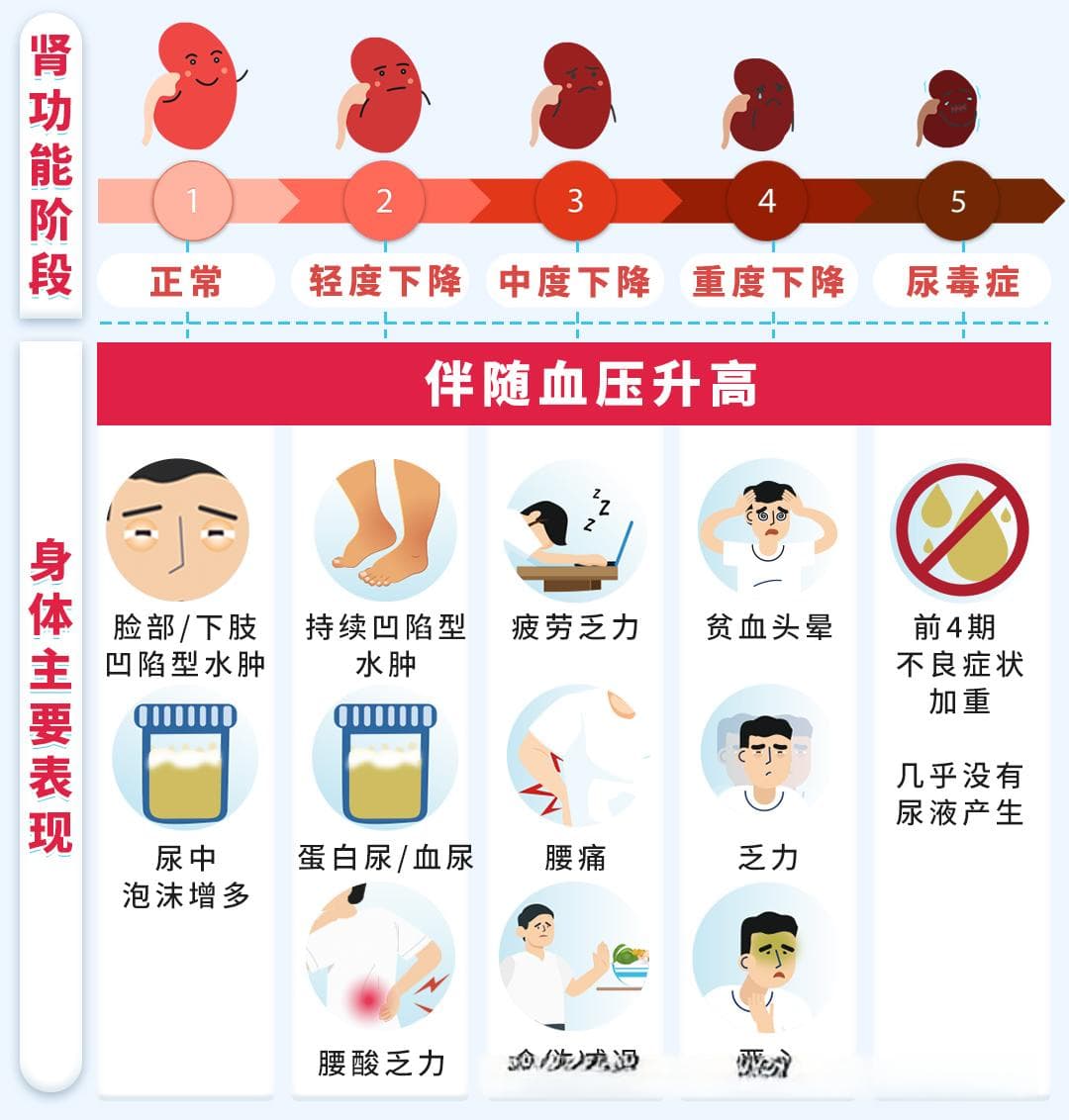 以为是“累了”，其实是肾透支了！别让无力感毁了人生。