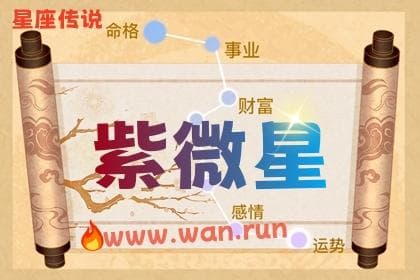 紫微斗数十四主星之紫微星