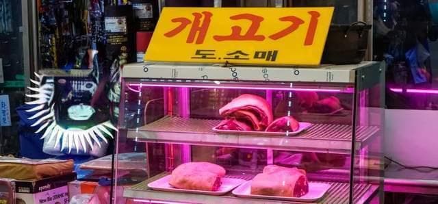 韩国全面禁止食用狗肉，设三年过渡期平稳过渡