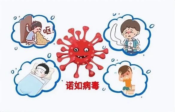 秋冬季高发！孩子腹痛、呕吐，警惕这类病毒感染