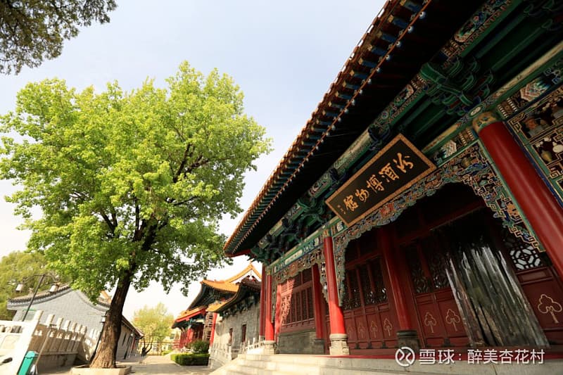 走进汾酒博物馆，见证6000年酿酒文化的传承与重塑