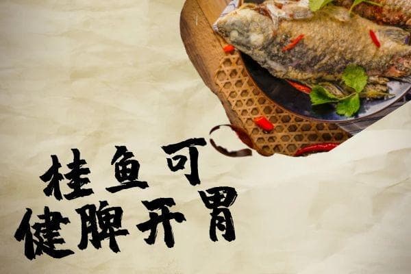 桂鱼的营养价值及功效与作用及禁忌分别是什么？