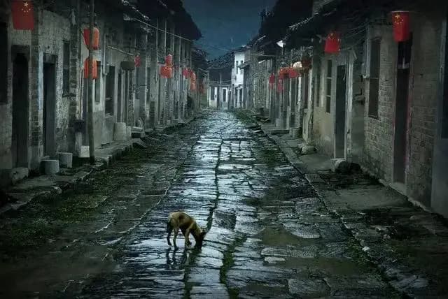 庄子：如何安顿好人的一生？