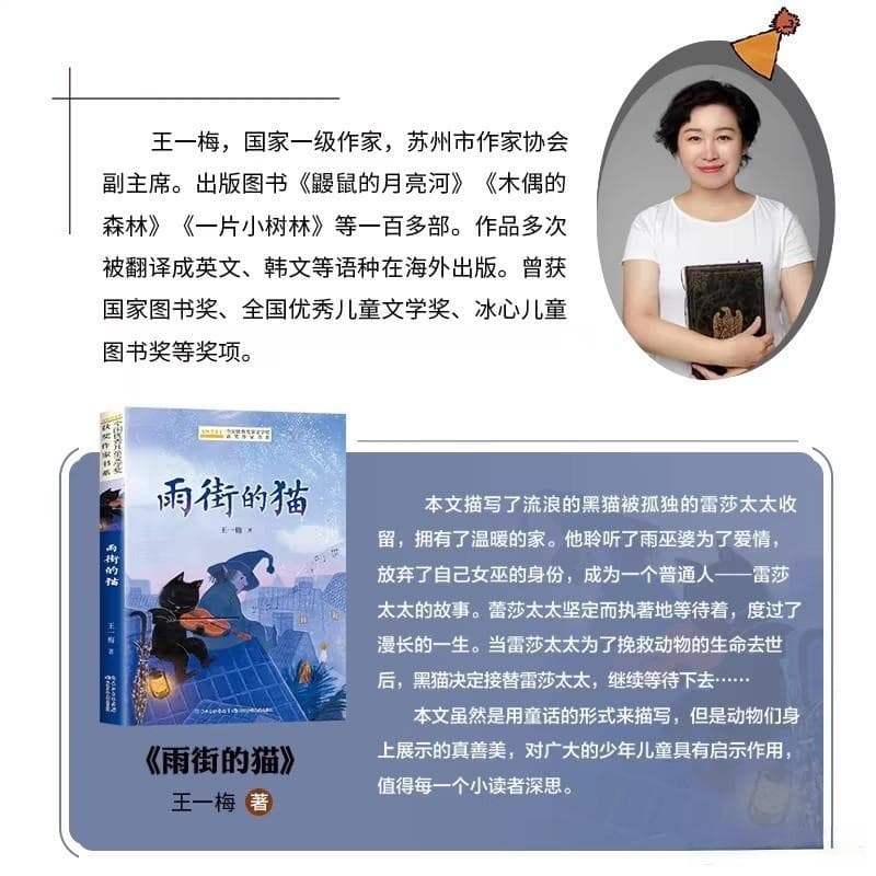 《雨街的猫》：治愈心灵的温暖故事，适合谁读？