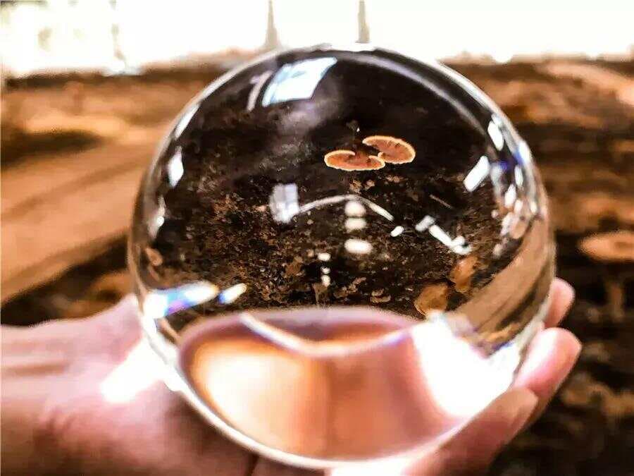 五行中的木火土金水与肝心脾肺肾的关系