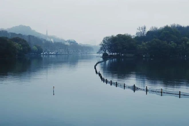 西湖醋鱼，把杭州的脸都丢到全国了？杭州阿姨：活了快60年，没吃过一次