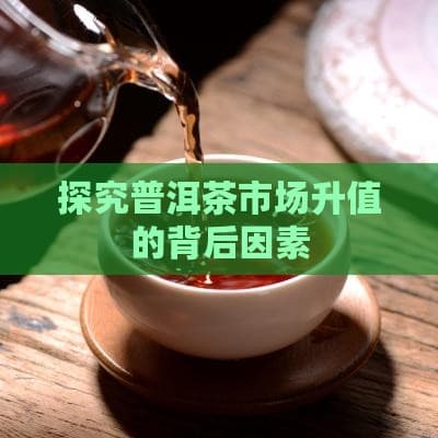 探究普洱茶市场升值的背后因素