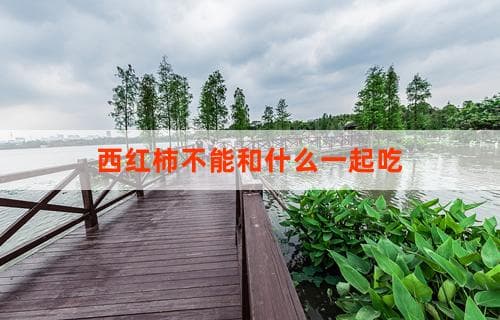 西红柿不能和什么一起吃：食物搭配禁忌解析