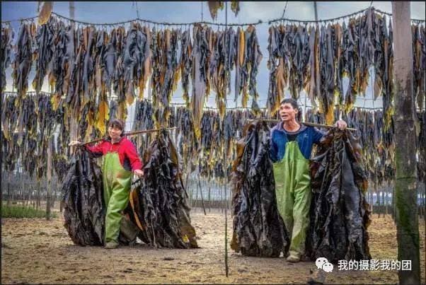 中国最美海岸线：霞浦的金色滩涂与浪漫蓝眼泪