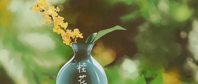 11位唐朝诗人，写下20首饮酒佳作，全是顶级名篇！