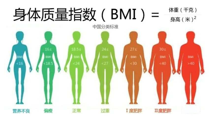 药师说药 | “排油丸”奥利司他，会吃才行，这五点需牢记