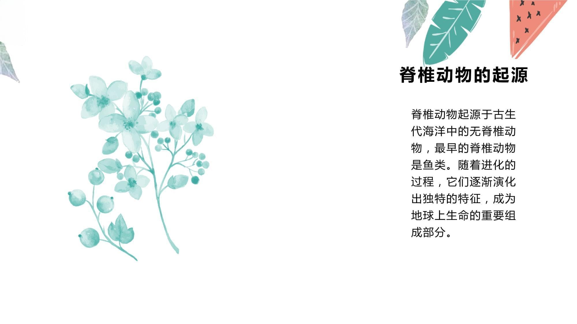 脊椎动物的进化历程和类群分类