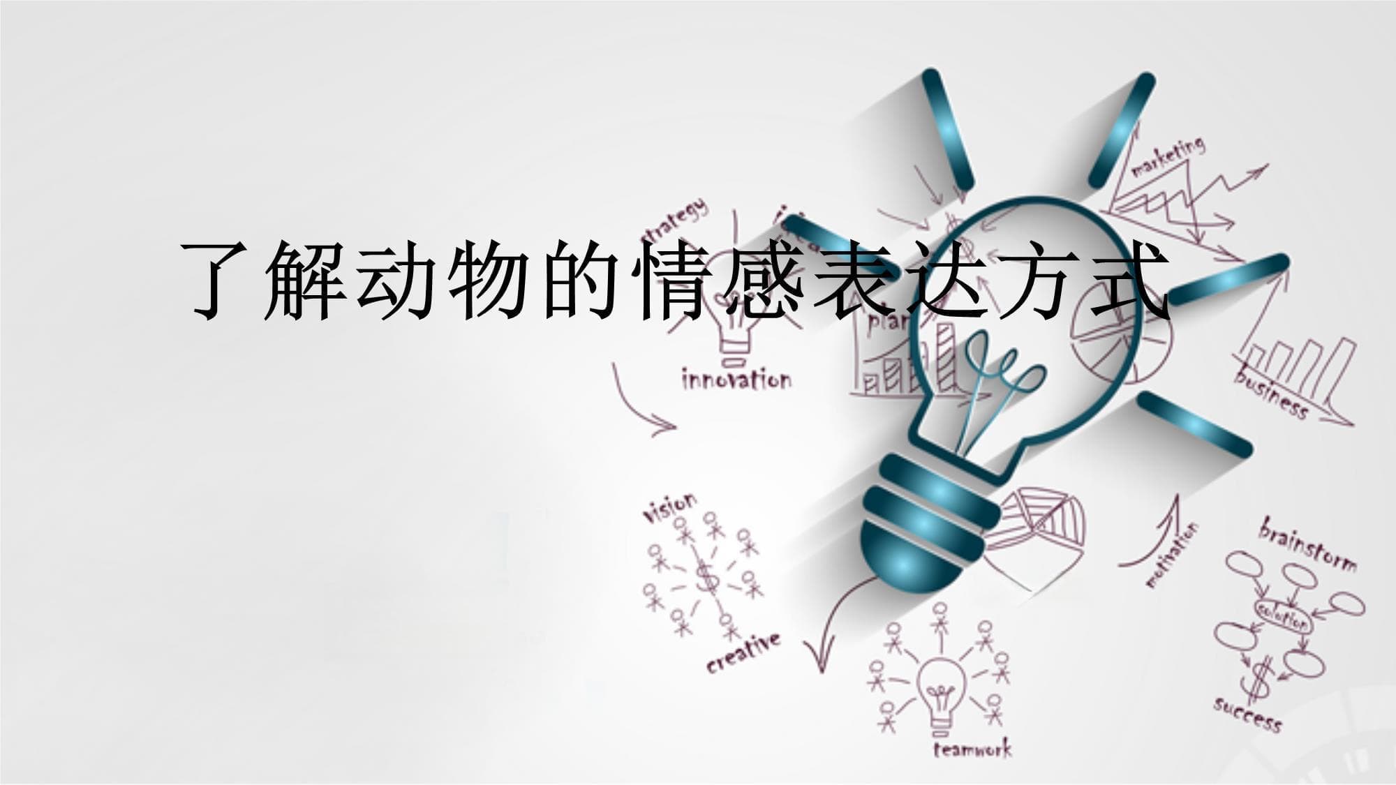 从表情到声音：解读动物的情感表达方式
