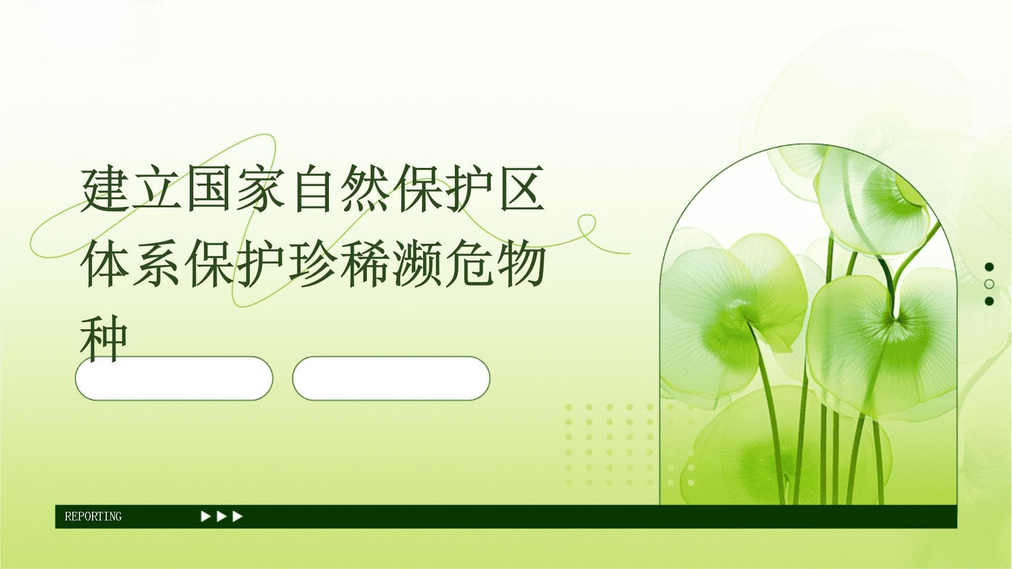 建立国家自然保护区体系保护珍稀濒危物种