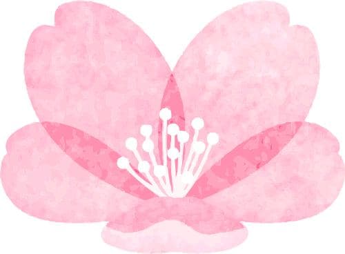 清代“全民偶像”纳兰性德  如何靠雅词稳坐“一线”？