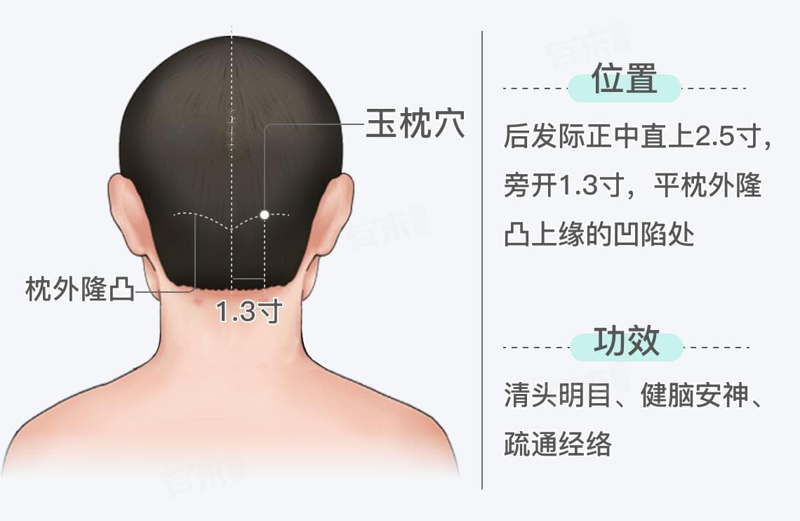玉枕穴的位置和功效