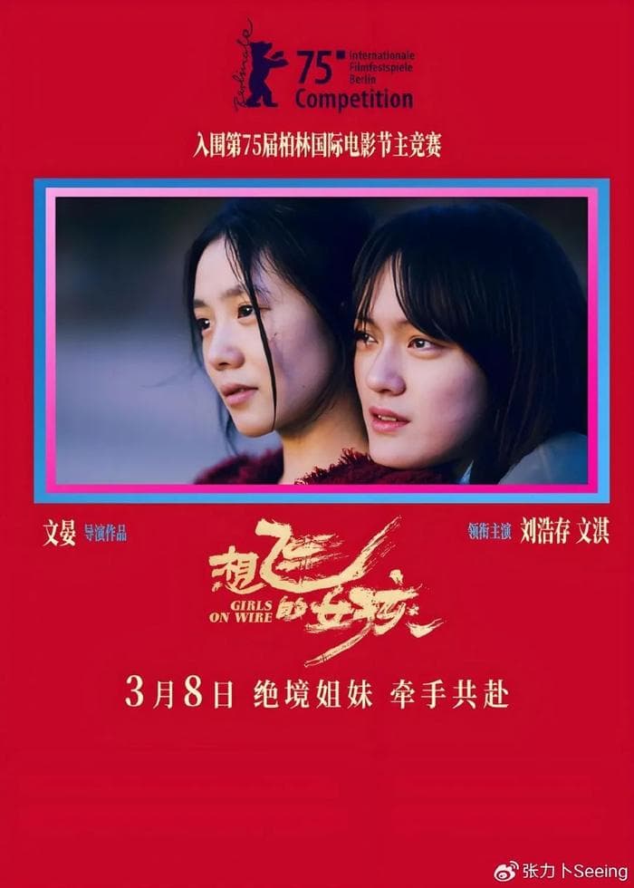 《想飞的女孩》：苍凉美学——弦断铁锈处，涅槃有凤声