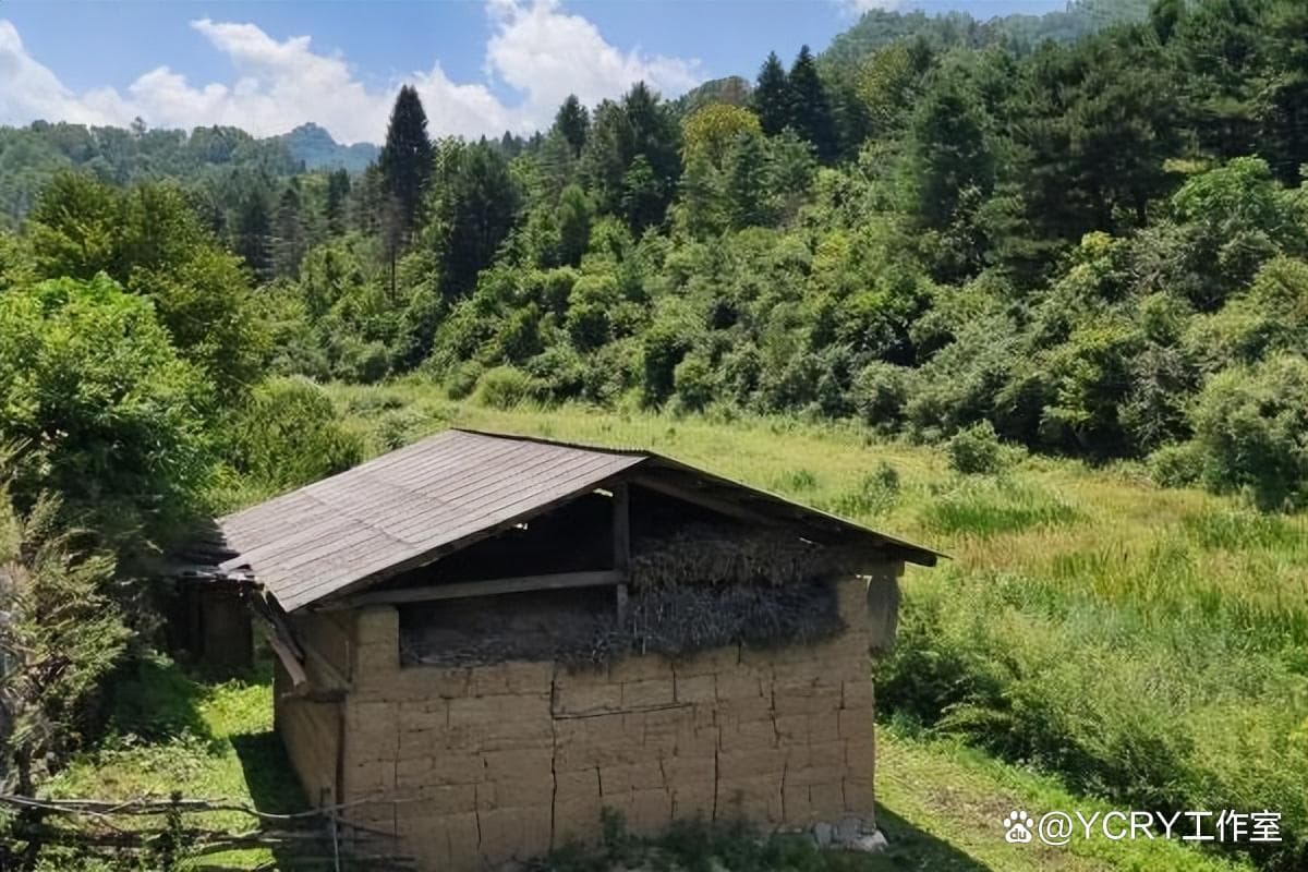 西安郊区旅游攻略：六大区域精选景点，周末轻松乐享
