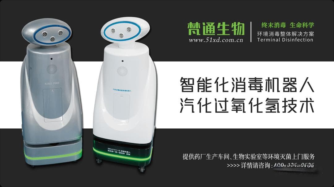 当猫咪离开，如何妥善处理它们的遗体