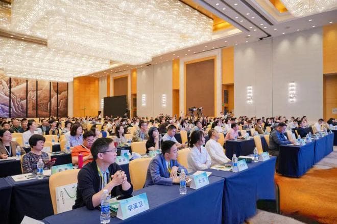 助力青年中医成长：破后而立，直面未来