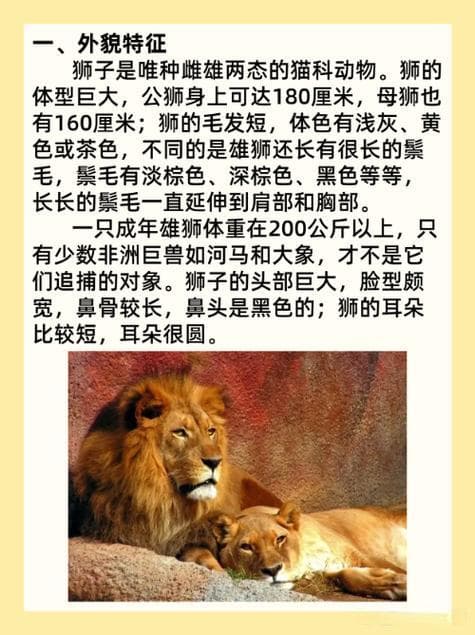 动物的外形有哪些特点？动物奇妙的外形：大自然的杰作！