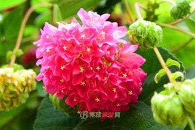 攀枝花市东区十大旅游景点