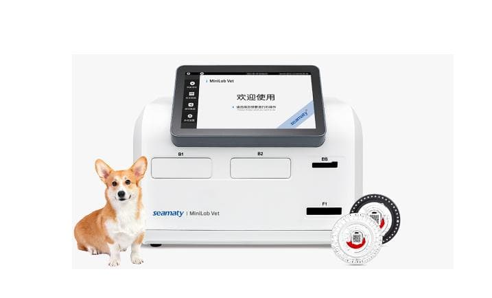 犬猫凝血功能障碍诊断与检测方法